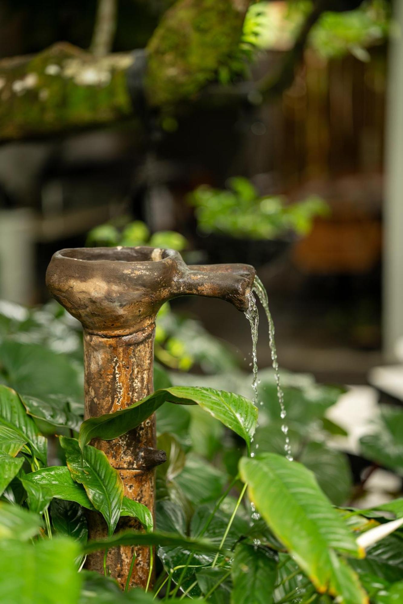 Suwa Villa Arenal La Fortuna Екстериор снимка
