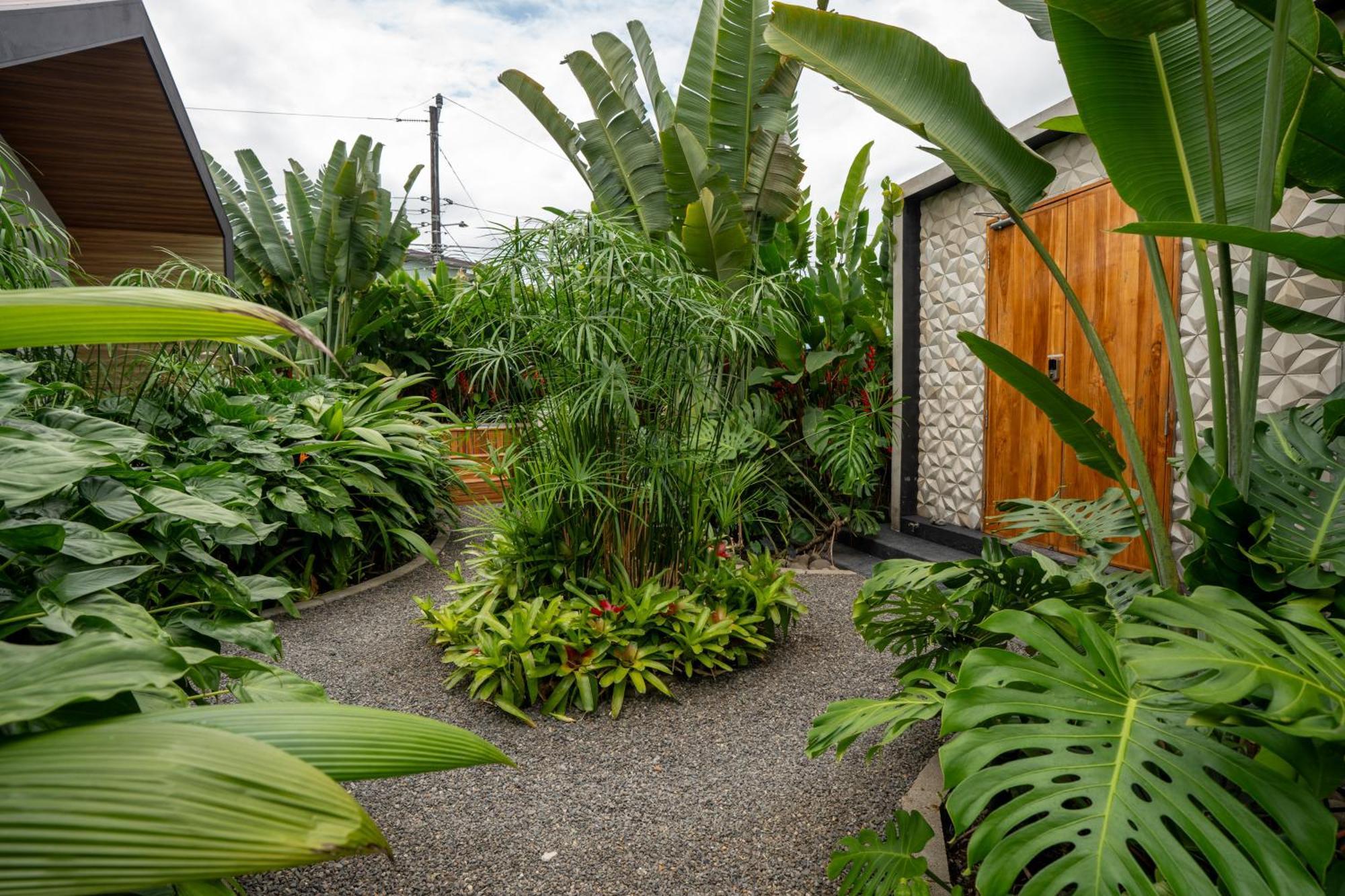Suwa Villa Arenal La Fortuna Екстериор снимка