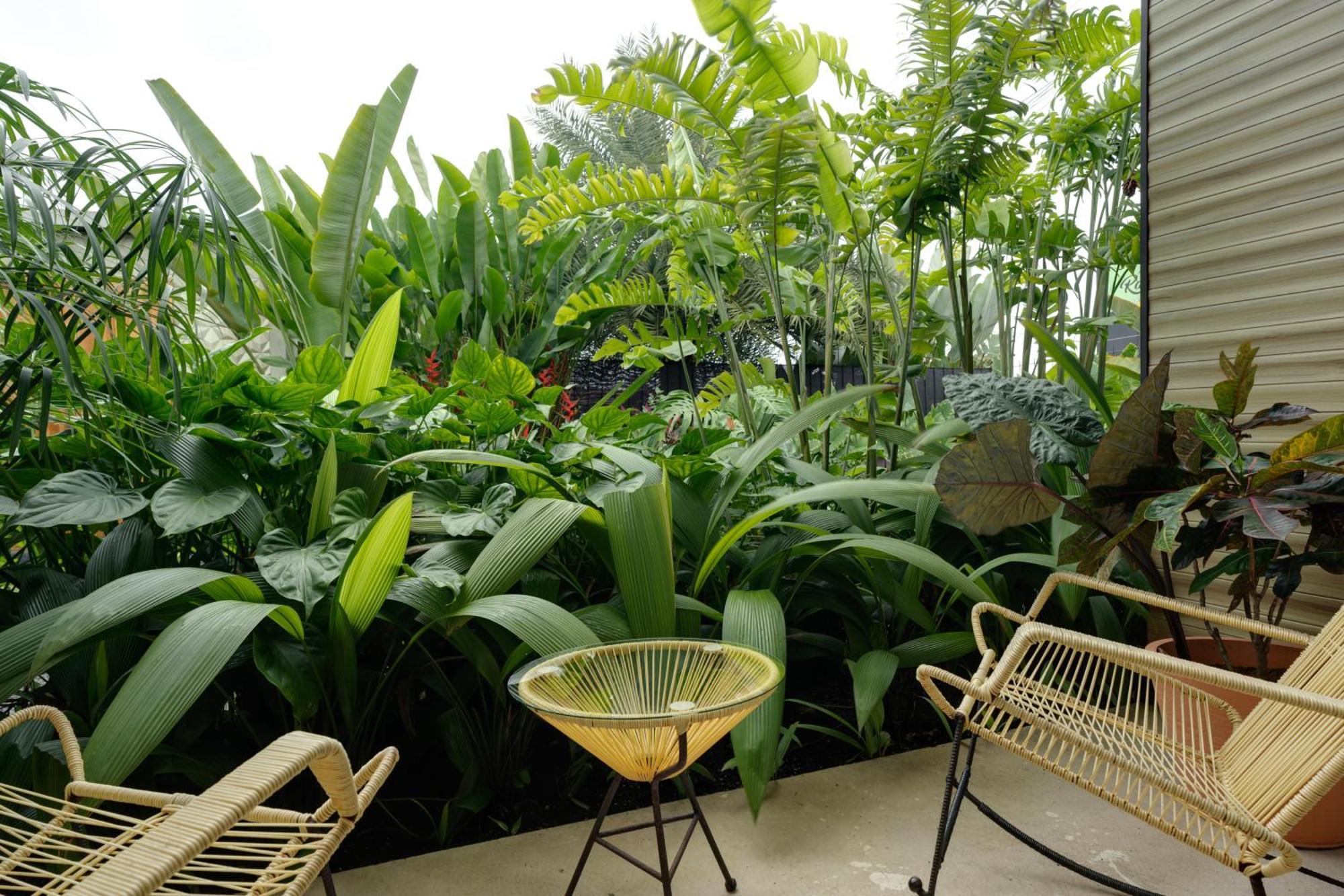 Suwa Villa Arenal La Fortuna Екстериор снимка